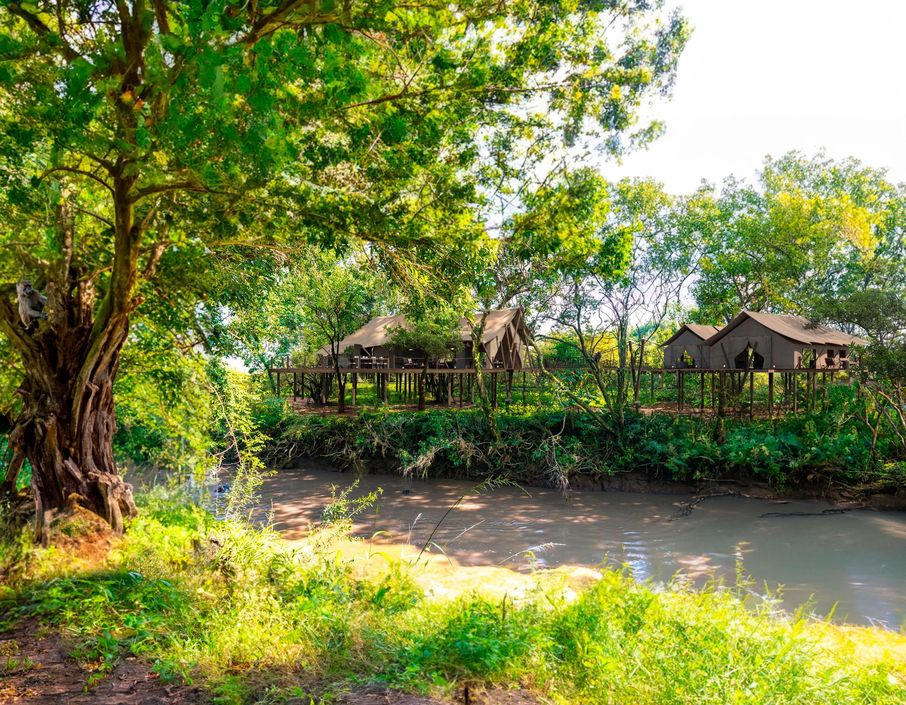 Mara Toto Tree Camp
